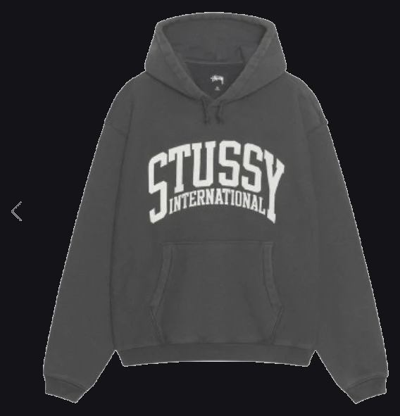 Stussy Stussy Hoodie — Trending Now find on BoonBuy Finds