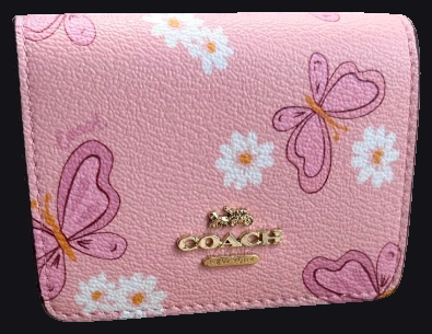 Coach Wallet — BoonBuy Finds